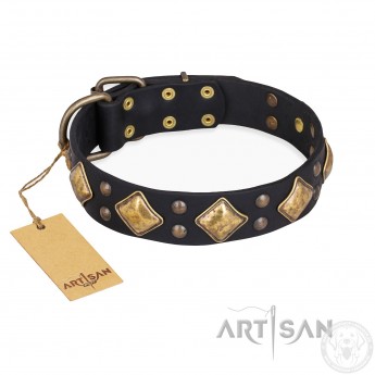 "Fancy-Schmancy" Leather Dog Collar in Black for Labrador