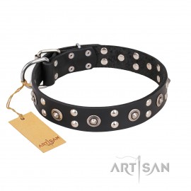 "Fancy-Schmancy" Leather Dog Collar in Black for Labrador