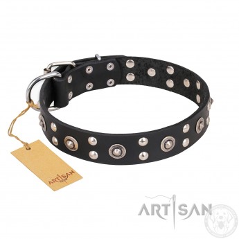 "Fancy-Schmancy" Leather Dog Collar in Black for Labrador