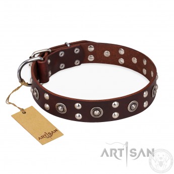 Labrador Leather Dog Collar Brownwih exciting Style "Pirate Treasure"