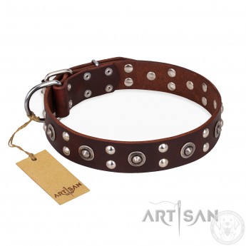 Labrador Lederhalsband Braun mit atemberaubendem Stil "Pirate Treasure"