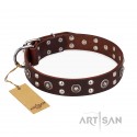 Labrador Leather Dog Collar Brown with exciting Style "Pirate Treasure"