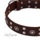 Labrador Leather Dog Collar Brownwih exciting Style "Pirate Treasure"