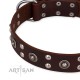 Labrador Lederhalsband Braun mit atemberaubendem Stil "Pirate Treasure"