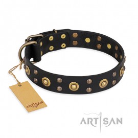 "Cosmic Glow" Leather Dog Collar  Black for Labrador