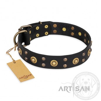 "Cosmic Glow" Leather Dog Collar  Black for Labrador