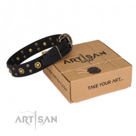 "Cosmic Glow" Leather Dog Collar  Black for Labrador