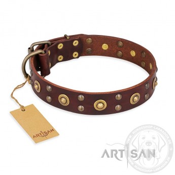 Braunes Ledehalsband von FDT Artisan "Caprice of Fashion" für Labrador