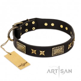 "Passion for Style and Beauty" schwarzes Leder Hundehalsband für Labrador