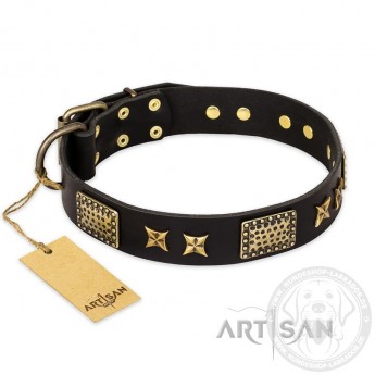 "Passion for Style and Beauty" schwarzes Leder Hundehalsband für Labrador
