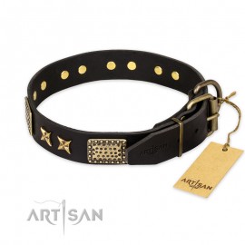 "Passion for Style and Beauty" Black Leather Dog Collar for Labrador