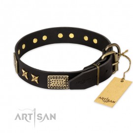 "Passion for Style and Beauty" schwarzes Leder Hundehalsband für Labrador