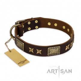 FDT Artisan incredible Leather Dog Collar "Sparkling Bronze"