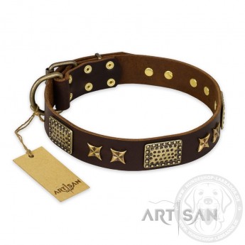 FDT Artisan incredible Leather Dog Collar "Sparkling Bronze"