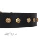 Studded Leather Dog Collar "Black Elegance" by FDT Artisan