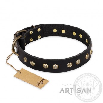 Genietetes Leder Hundehalsband Schwarz "Black Elegance" von FDT Artisan