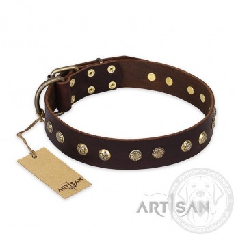 "Bronze Sheen" brown Designer Leather Dog Collar FDT Artisan