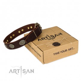 Dark-Brown Leather Dog Collar with oval Plates "Chocolate Kiss"