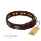 Dark-Brown Leather Dog Collar with oval Plates "Chocolate Kiss"