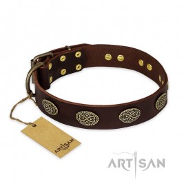 Dark-Brown Leather Dog Collar with oval Plates "Chocolate Kiss"