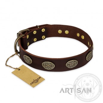 Dark-Brown Leather Dog Collar with oval Plates "Chocolate Kiss"