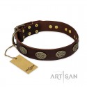 Dark-Brown Leather Dog Collar with oval Plates "Chocolate Kiss"