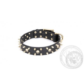 "Cosmic Glow" Leather Dog Collar  Black for Labrador