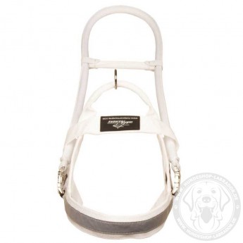 White Assistant Nylon Dog Harness for Guide Labrador