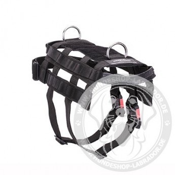 Best Labrador Harness of Nylon for Daily Use