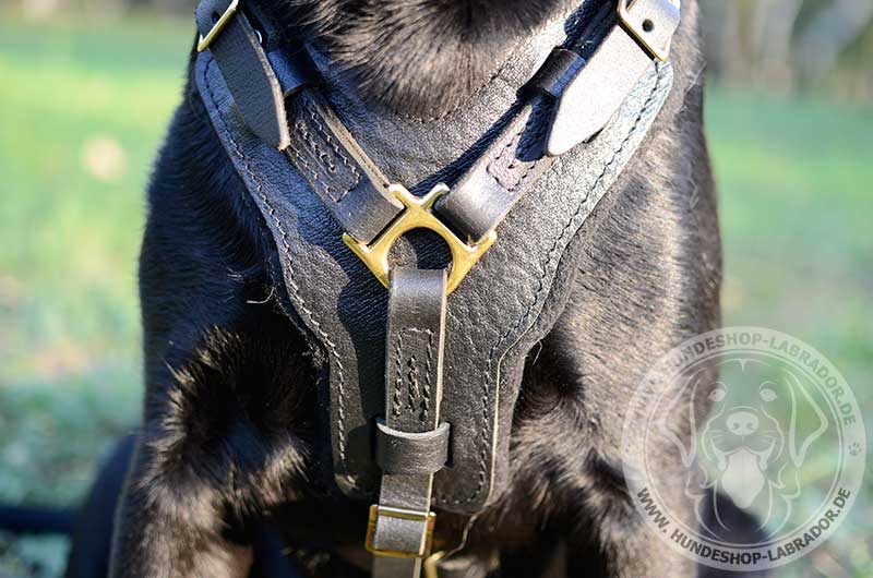 Hundegeschirr aus hochqualitativem Naturleder