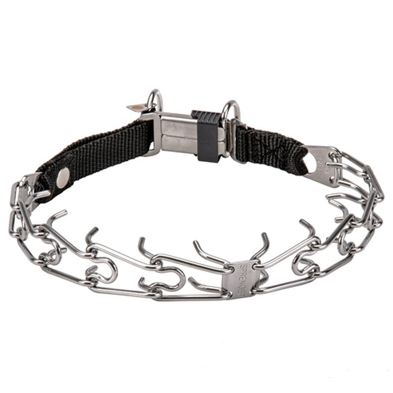 Hundehalsband mit Stacheln