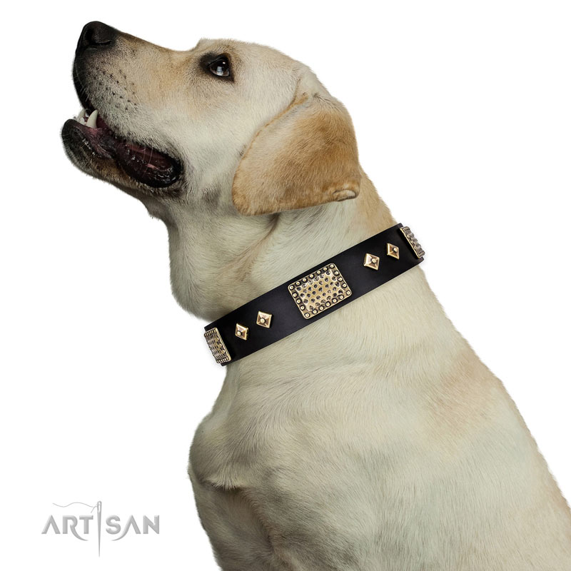 Hundehalsband mit Rhomben und Platten fuer Labrador