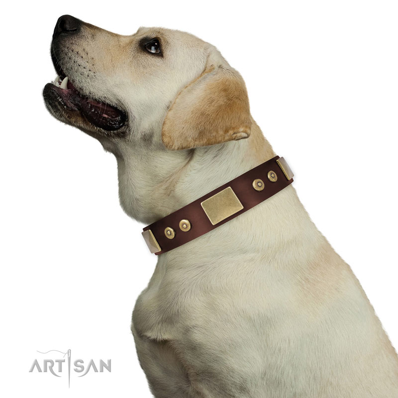 Hundehalsband braun mit  Platten und Kreise fuer Labrador