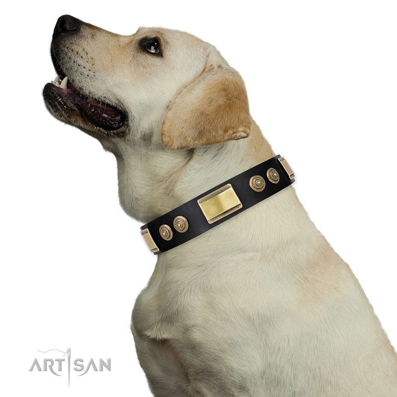Hundehalsband mit bestem Design fuer  Labrador