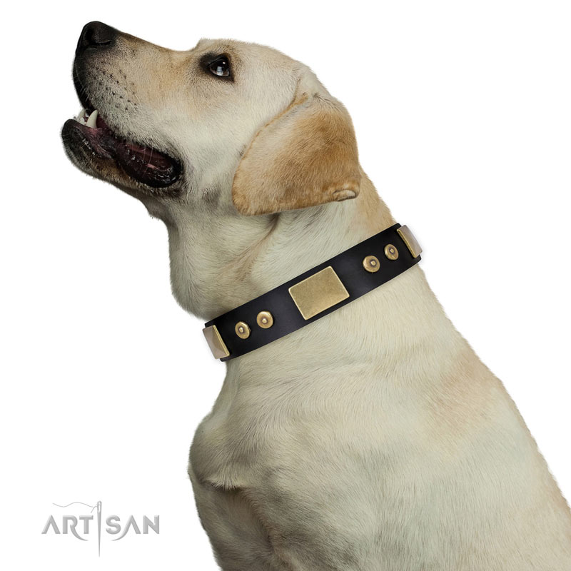 Hundehalsband mit Kreise und Platten  fuer Labrador