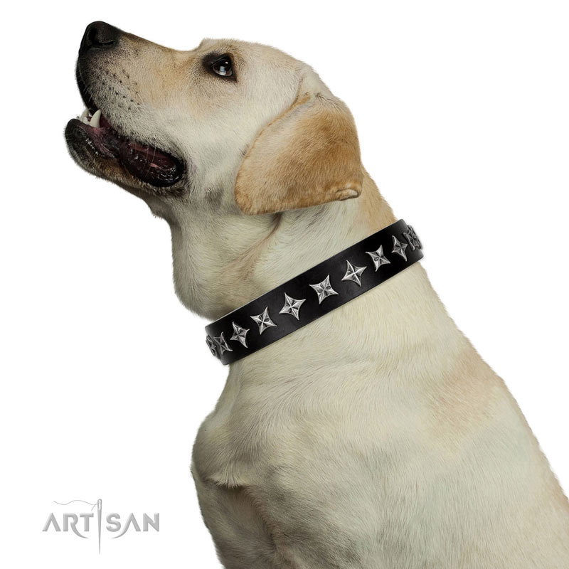 Hundehalsband mit Sterne fuer Labrador