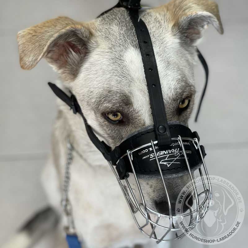 Supet Metall Maulkorb Hunde Maulkörbe Ledermaulkorb für Groß Hunde Beißen und Kauen abzuhalten Giftköderschutz für Meistens Hunde 