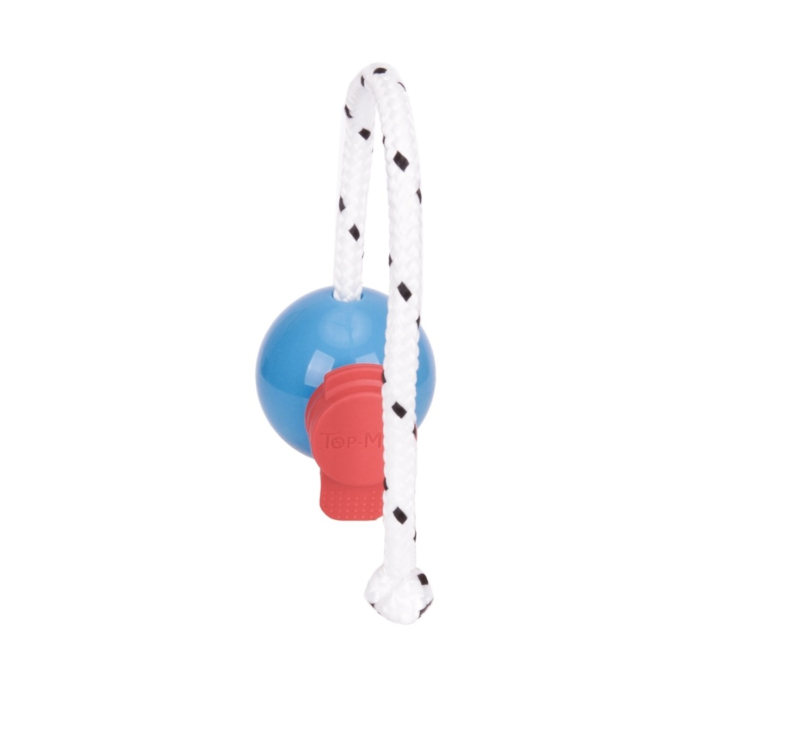 Hundespielzeug Ball mit Magnet fuer Labrador