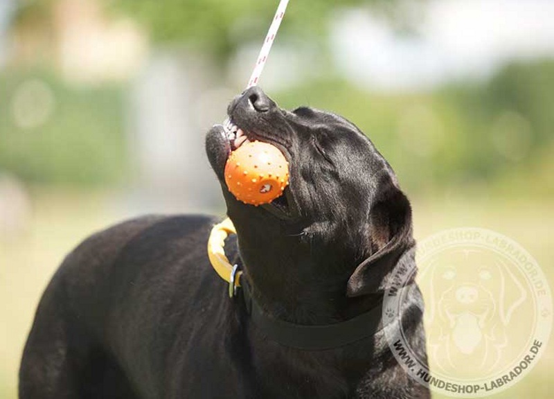 Hundespielzeug Ball aus Gummi fuer Labrador