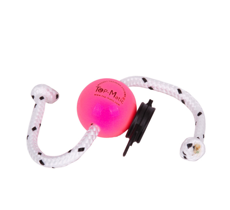 Hundespielzeug Ball aus Kunststoff fuer Labrador