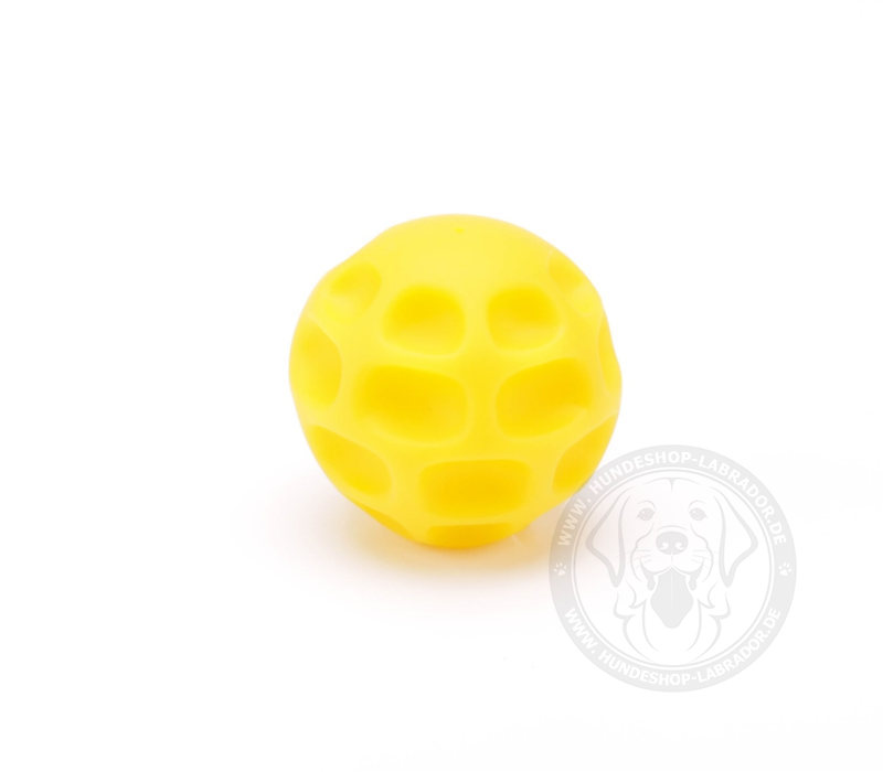 Hundespielzeug Ball aus Tetraflex fuer Labrador