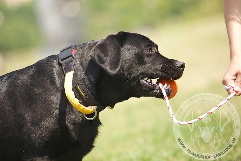 Ball fuer Wasser und Boden