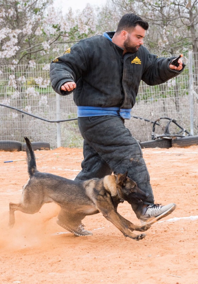 Hundetrainer Schutzanzug  