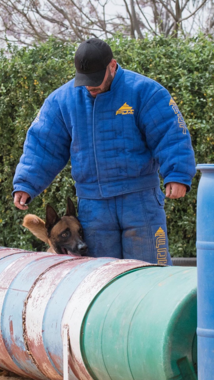 Professioneller Hetzanzug