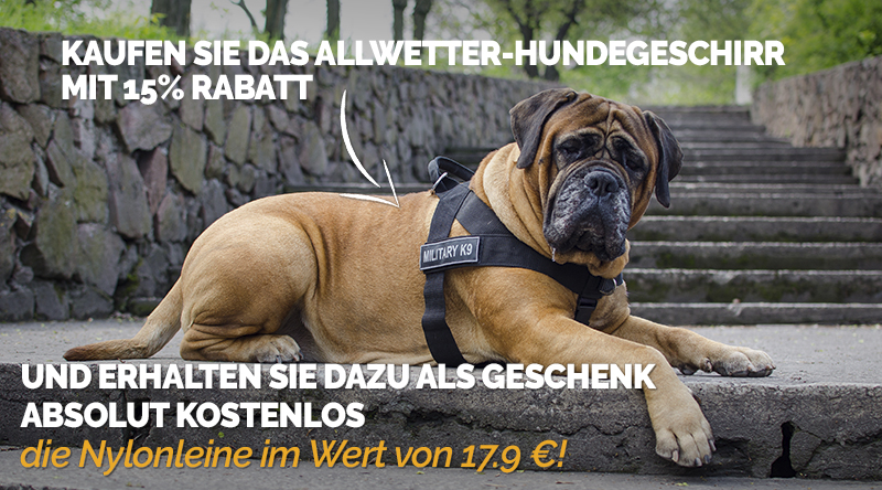 Sommer Angebot